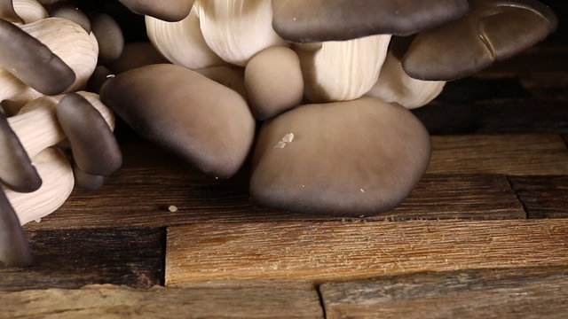 Many raw unpeeled mushrooms on brown wooden table. Macro shot.