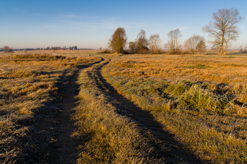 Droga przez łąki © podlaski49