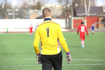 Fototapeta premium Rear view of soccer goalkeeper