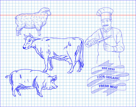 butchering beef diagram, pork, lamb and cook