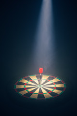 darts board illuminated with a spotlight