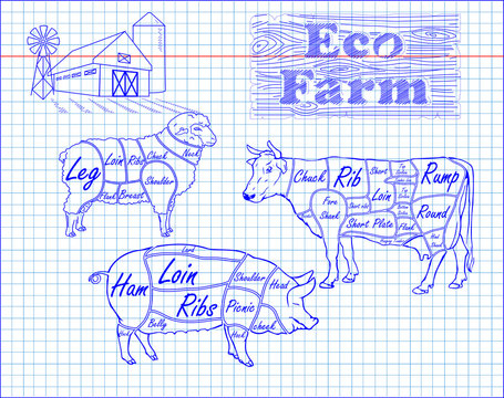 butchering beef diagram, pork, lamb and farm