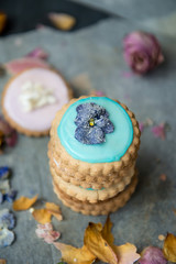 Homemade Biscuits covered with Pastel Color Icing