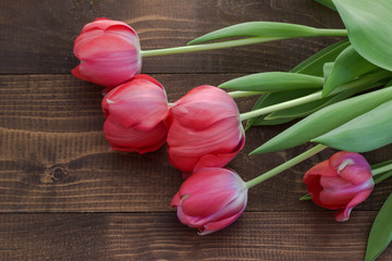 Tulips on a wooden board. Flowers background.