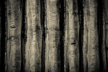 Old wooden surface for textured background. Toned