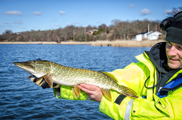 Angler presents fresh caught pike