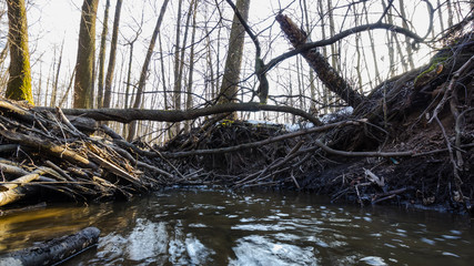 windbreakage on polluted river