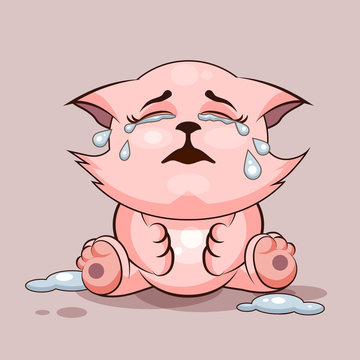 Cat is crying