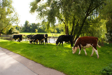 Cambridge, UK