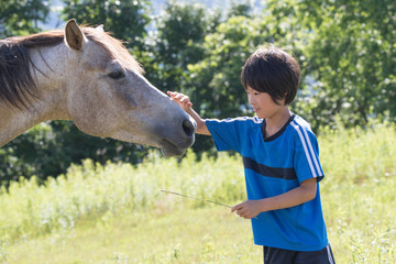 子供と白馬
