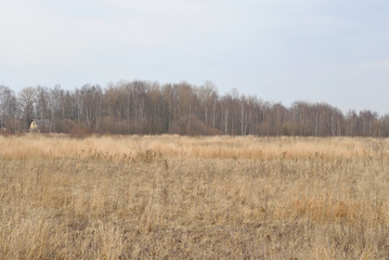 Field of early spring.