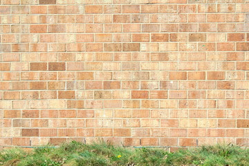 old vintage brick wall texture background with grass
