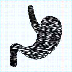 Human anatomy. Stomach sign