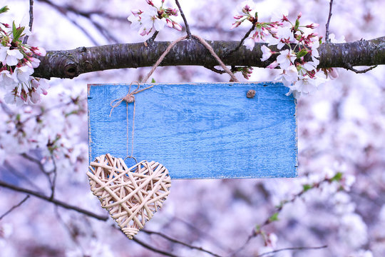 Blank Sign With Heart Hanging In Spring Flowering Tree