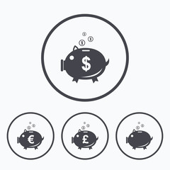 Piggy bank icons. Dollar, Euro, Pound moneybox.