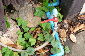 red faucet and faucet pipe on the ground with plants in the gard