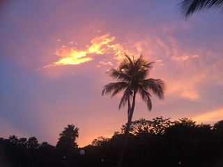 Tropical evening in resort, Mexico