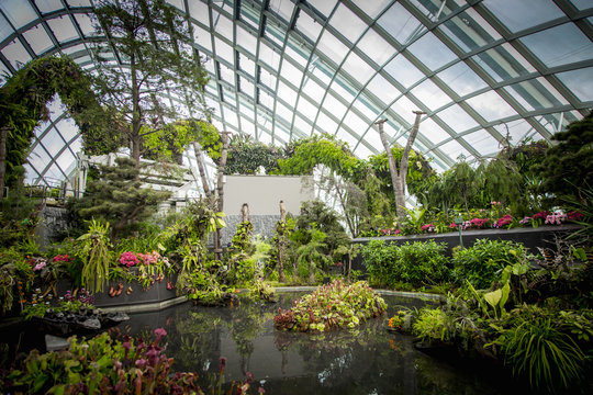 Ornate garden in greenhouse