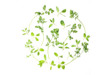 ハーブのイメージ