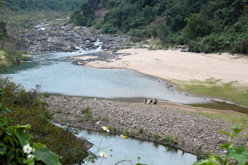 Ho Chi Minh trail, forest, mountain, terrain