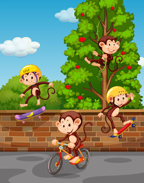 Four monkeys playing on the street