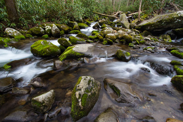 Naklejka na ściany i meble River On The Roaring Fork. Mountain stream flows along the road on the Roaring Fork Motor Nature Trail in the Great Smoky Mountains National Park in Gatlinburg, Tennessee.