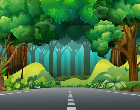 Road to the forest