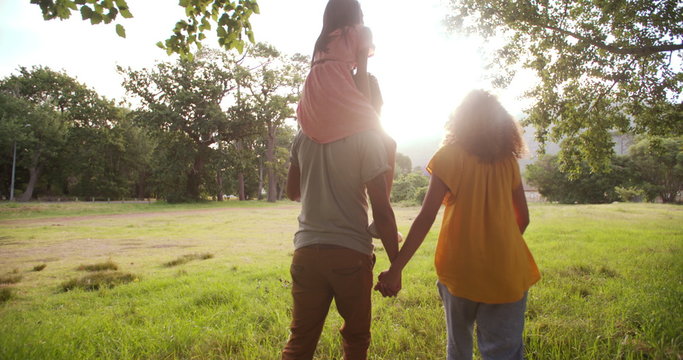 African-american family walking together in beautiful green park