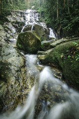 beautiful tropical waterfal flow surrounded by green nature fore