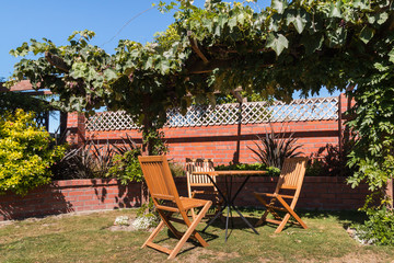 garden furniture under grapevine pergola