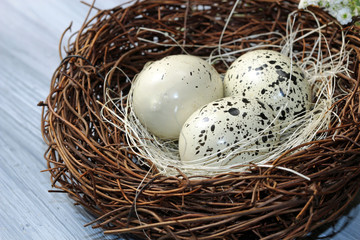 Naklejka na ściany i meble A nest with eggs on a grey background.