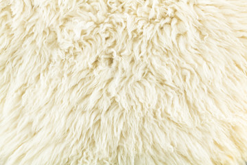 soft color creamy of wool texture
