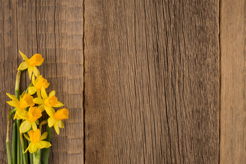 Daffodils on wooden background, copy space