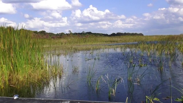 Airboat Ride through wetlands in Central Florida
