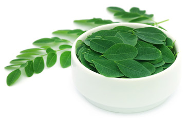 Edible moringa leaves