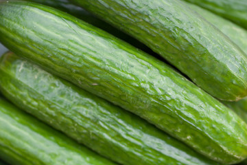 Cucumber