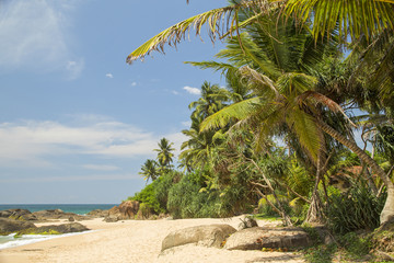  красивый берег океана Шри Ланка