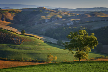 Obraz premium landscape in tuscany,Rolling hills, countryside farm,rural landscape in Italy