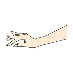 손 일러스트
