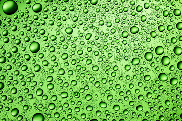Water drops on transparent glass green background.