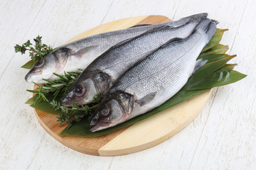 Seabass