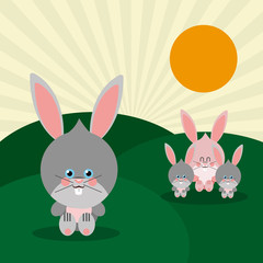 rabbit icon design 
