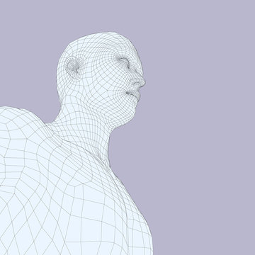 Head of the Person from a 3d Grid. Human Head Wire Model. Human Polygon Head. Face Scanning. View of Human Head. 3D Geometric Face Design. 3d Polygonal Covering Skin. Geometry Polygon Man Portrait.