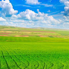 beautiful rural landscape