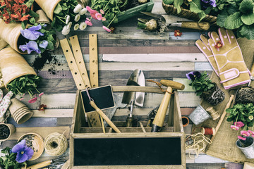 Garden tools, flowers and seeds on a wooden background