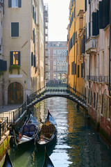 Fototapeta na wymiar Bridge and Gondola in Venice