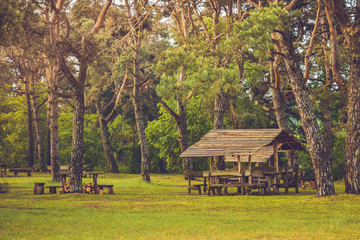 wooden gazebo picnic in the woods