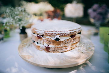 Delicious wedding reception candy bar Dessert table for a wedding outdoor party. Ombre cake, cupcakes, sweetness and flowers 