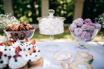 Delicious wedding reception candy bar Dessert table for a wedding outdoor party. Ombre cake, cupcakes, sweetness and flowers 