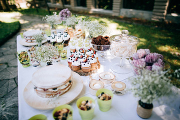 Delicious wedding reception candy bar Dessert table for a wedding outdoor party. Ombre cake, cupcakes, sweetness and flowers 